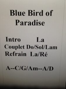 Blue Bird of Paradise